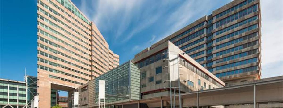 قرار قضائي يعرقل خطط الحكومة الهولندية: منع إعادة طالبي اللجوء إلى إيطاليا