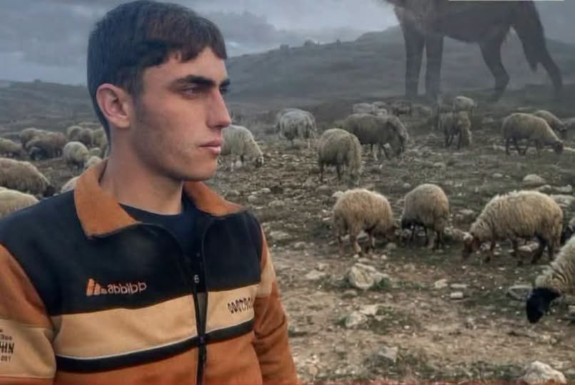 حادثة في اللطامنة تعيد الحديث عن وجود الضباع في ريف حماة