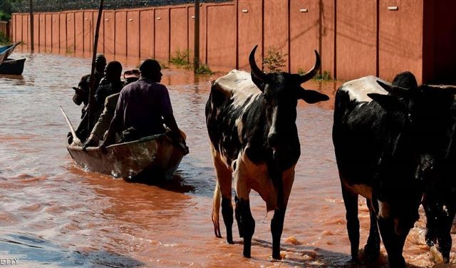 فيضانات النيجر تُخلّف 65 قتيلاً